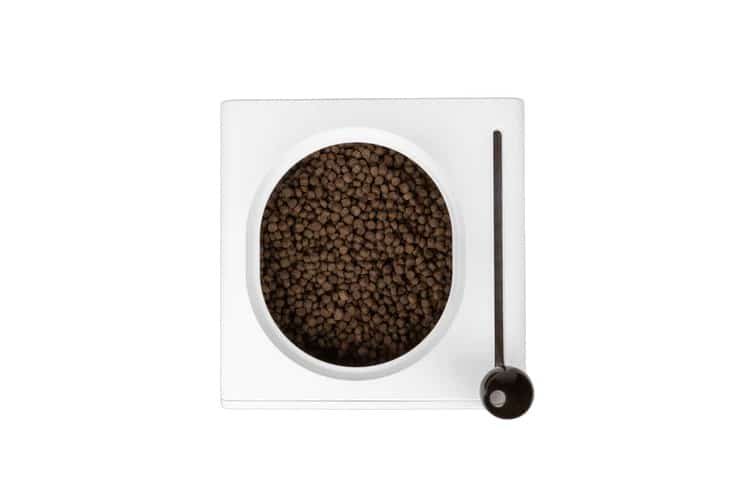 PawiseUs – Kibble Dispenser & Storage System - Image 6